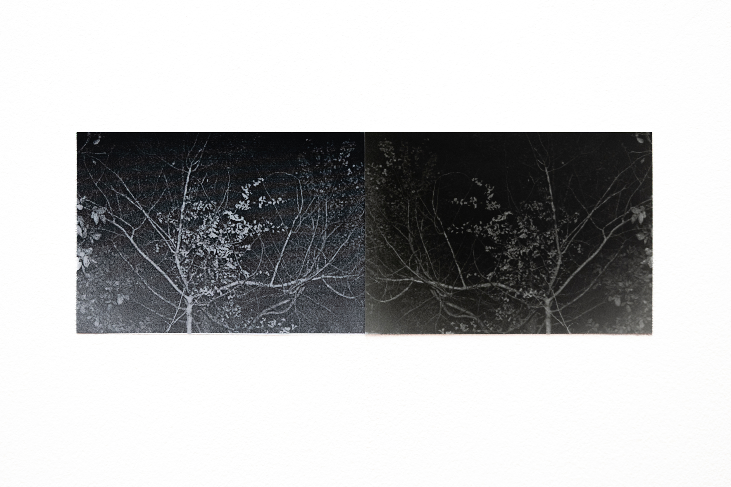 IIII ; laserjet print, gelatin silver print, 8.9 x 25.4 cm
